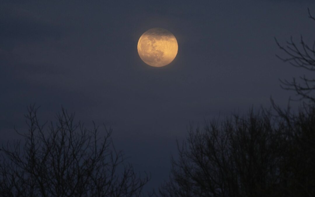 Grounded in Gratitude: Moonlit Rituals